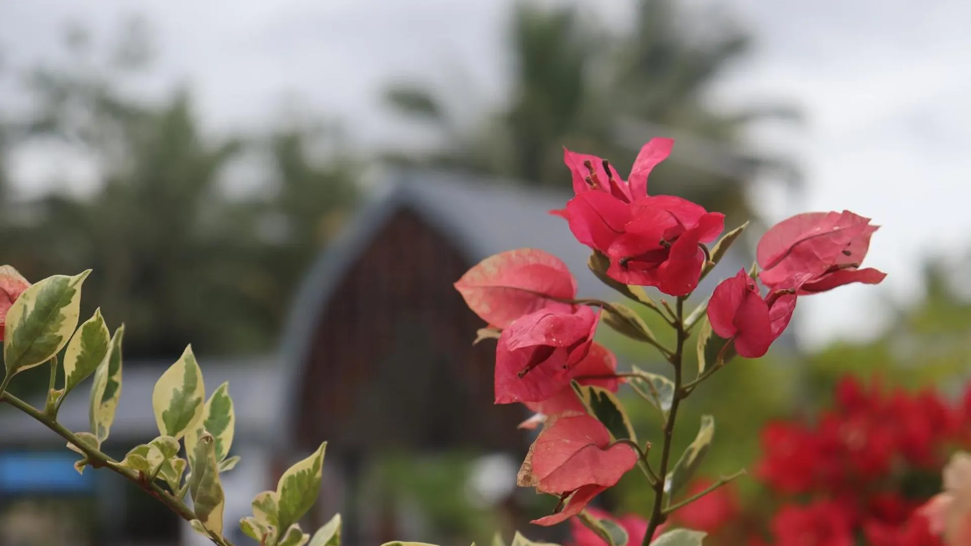 Resort Magayon Integrated Farm Hotel Davao