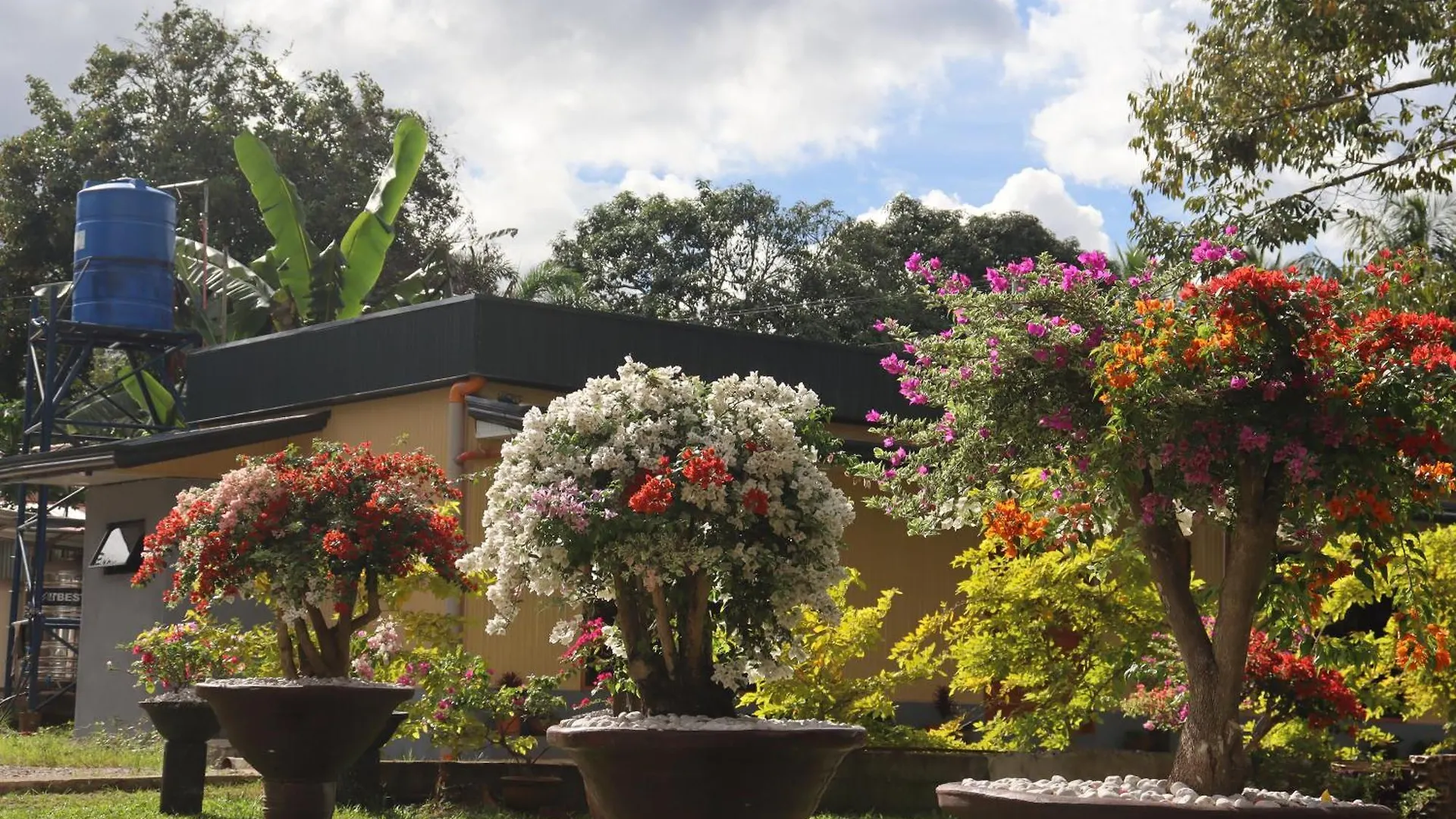 Magayon Integrated Farm Hotel Davao